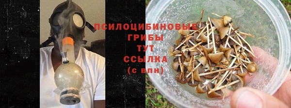 jwh Аркадак