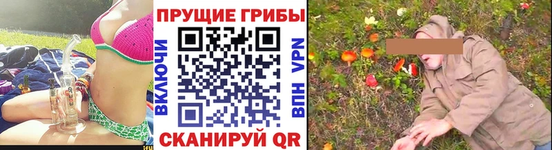 Галлюциногенные грибы Cubensis  где купить наркотик  Сасово 